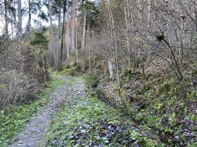 ganz-tirol-erlebnisweg-silz-korn-brot-7535.jpg