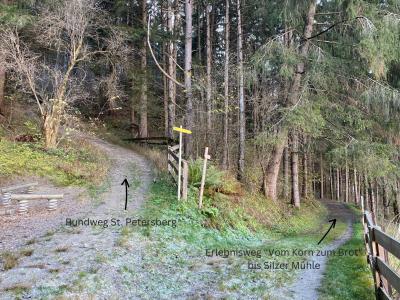 ganz-tirol-erlebnisweg-silz-korn-brot.jpg