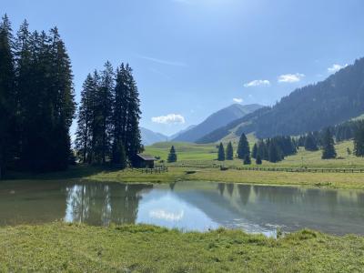 ganz-tirol-koegele-huette-berwang-9503.jpg
