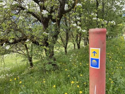 genussroute-teil-jakobsweg.jpg
