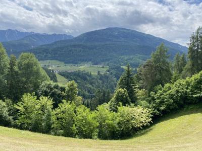 pitztal-benni-raich-rundweg-ausblick-wald-8896.jpg