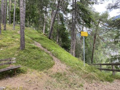 pitztal-benni-raich-rundweg-steig-nach-arzl-8888.jpg