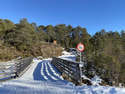 rundwanderweg-stoettlalmbruecke-mieming-7891.jpg