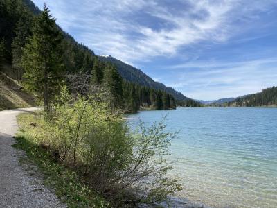 rundwanderweg-um-den-haldensee-tannheimertal.jpg