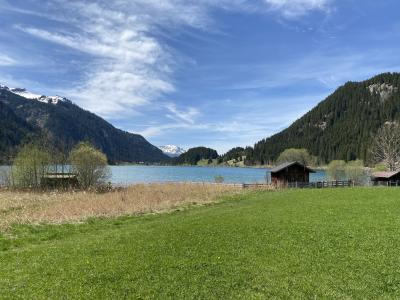schilfguertel-am-haldensee-tannheimertal.jpg