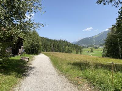 seefeld-wiesenweg-zum-moeserer-see-6219.jpg