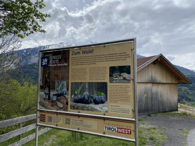 stanzer-waalweg-infotafel-genussroute-stanzer-zwetschke.jpg