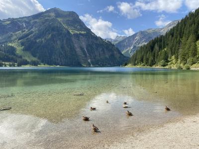 tirol-tannheimer-tal-vilsalpsee-enten-9739.jpg