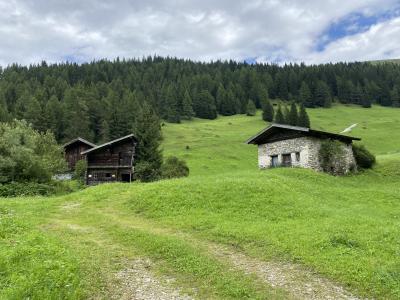wiesenweg-zum-obernberger-see-6434.jpg
